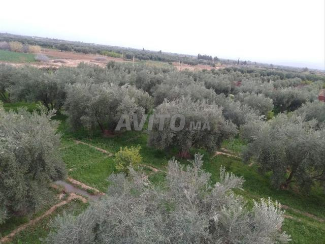 فيلا فاخرة مع مسبح و VNA - 2