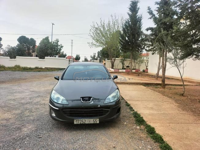 Peugeot407