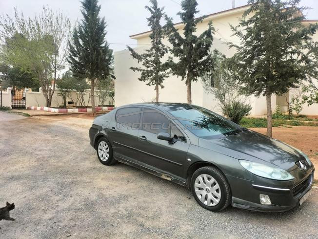 Peugeot407