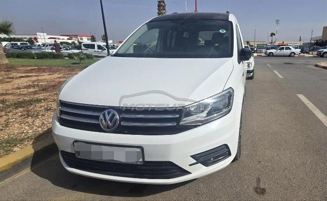 caddy edition 35 2018/2019