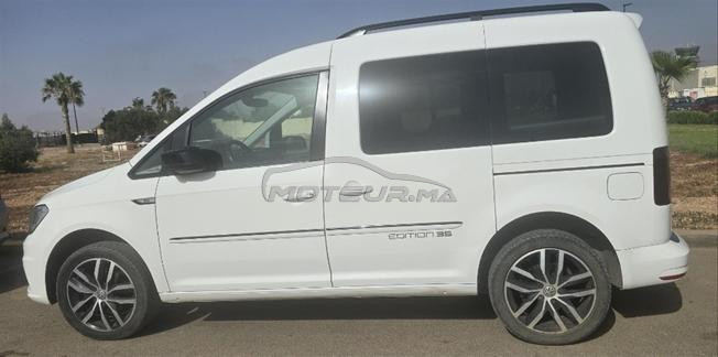 caddy edition 35 2018/2019