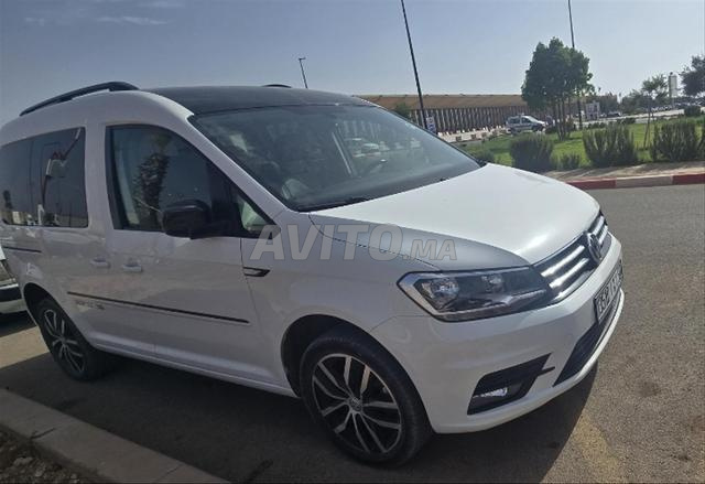 Caddy édition 35 2018/2019 - 2