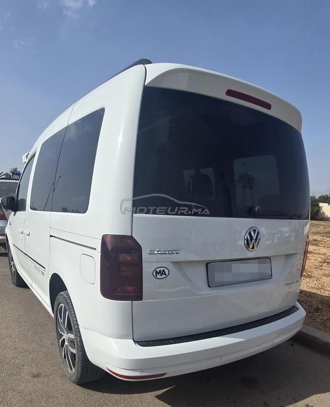 caddy edition 35 2018/2019