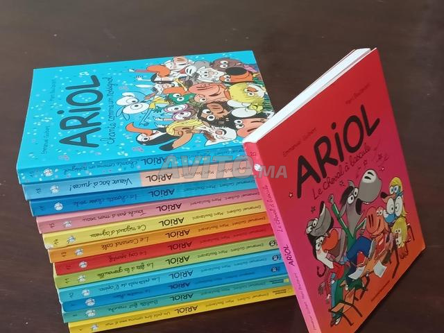 Collection BD kids, Bayard Jeunesse. 13 BD d'Ariol