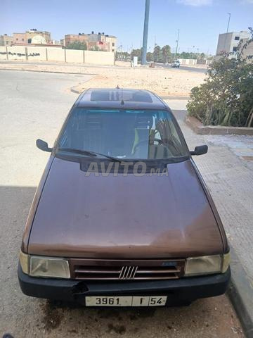 Cheval Nahda près de l'école - 2
