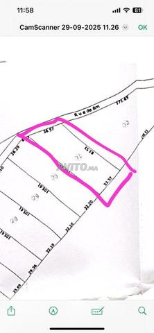Terrain agricole de 3000m2 à vendre à Selouane