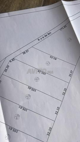 Terrain agricole de 3000m2 à vendre à Selouane