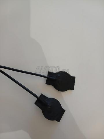 Pastille pour Guembri - 2