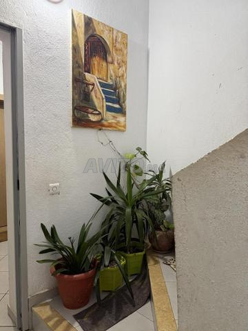 appartement - 2