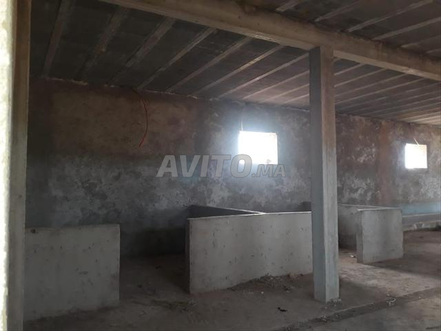 Ferme à vendre - 2