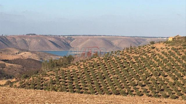 Vente Ferme à Ain Aouda - 2