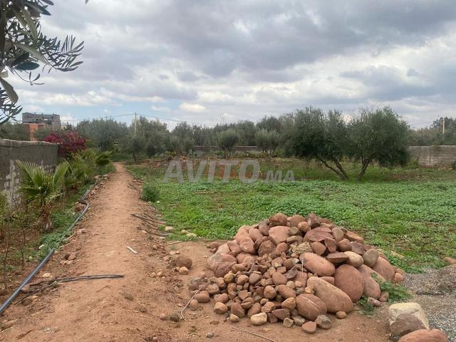 Vente Terrain agricole à Marrakech - 2