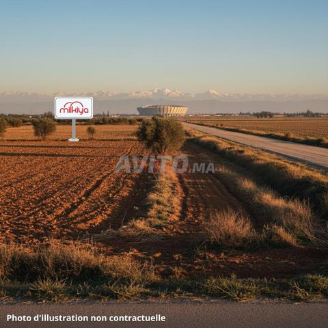 Vente Terrain agricole à Marrakech