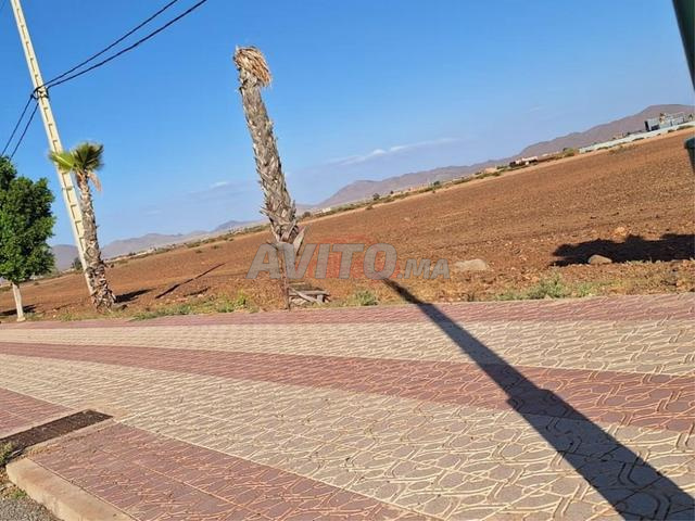 إيجار أرض عارية في الكلا السراغنة - 2