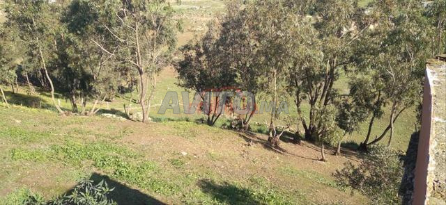 Vente Terrain nu à El Jadida - 2