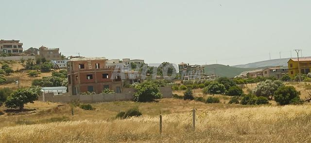 🔷 Terrain résidentiel à vendre à Oued Lian – Ksar Sghir 🔷