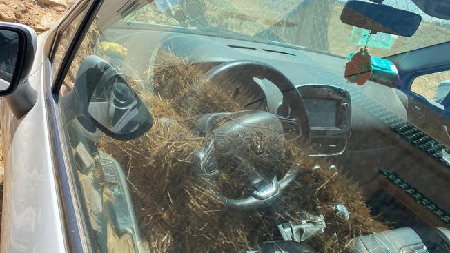 Renault Clio Diesel Manuelle 2019 à Bouskoura