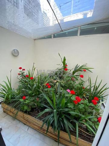 Studio à louer 55 m² à Gauthier Casablanca - 2