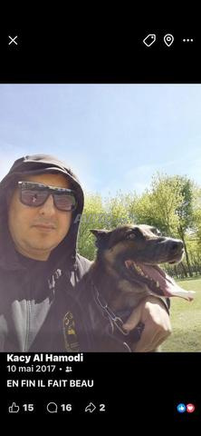 LE RYAD🐕CANIN🐕 - 2