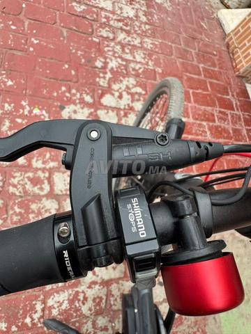 Vélo électrique Gazelle Importé de France