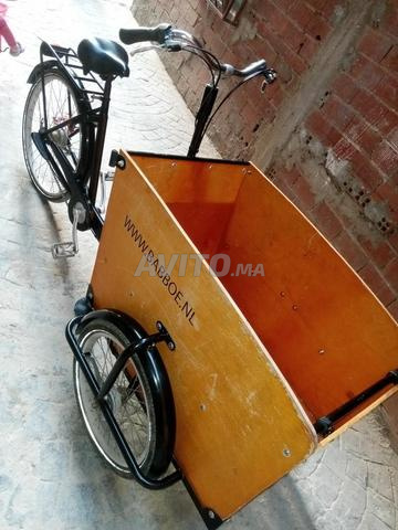 Vélo de jardin de roses
