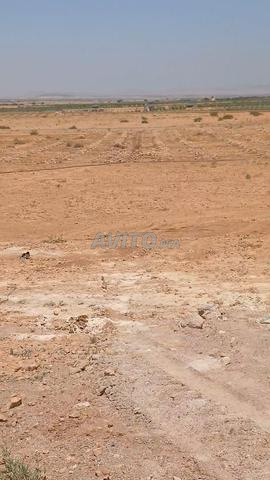 مستفركي وجدة - 2