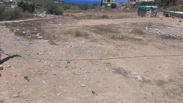بويفر قرب ميناء الناظور غرب المتوسط - 2