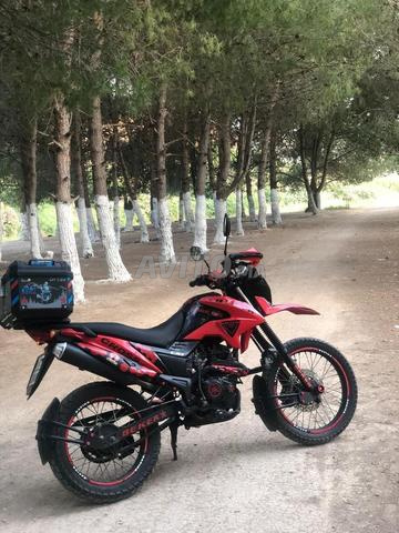 بيكر كروس 2024 - 2