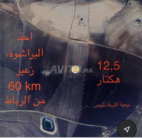 أرض فلاحية - 2