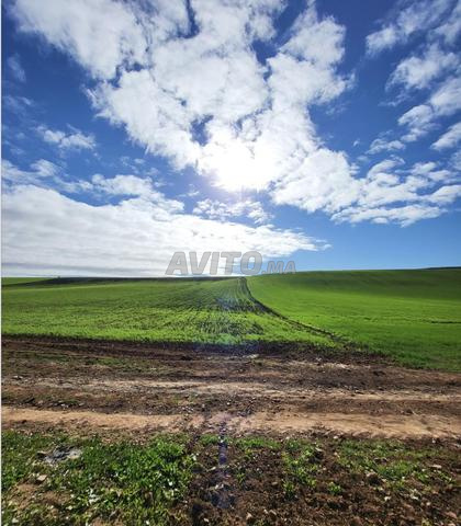 Terrain agricole