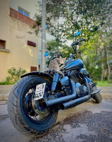 هوندا VTX 1300cc V-Twin – ستايل بوبير فريد - 2