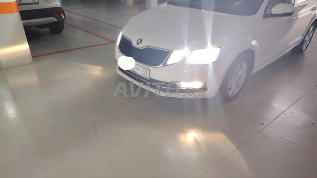 Une jolie Skoda Octavia - 2