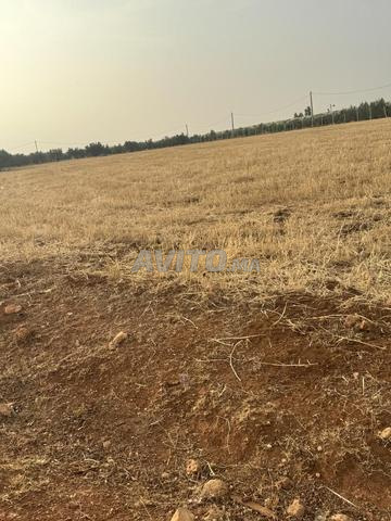 10 hectares à vendre - 2