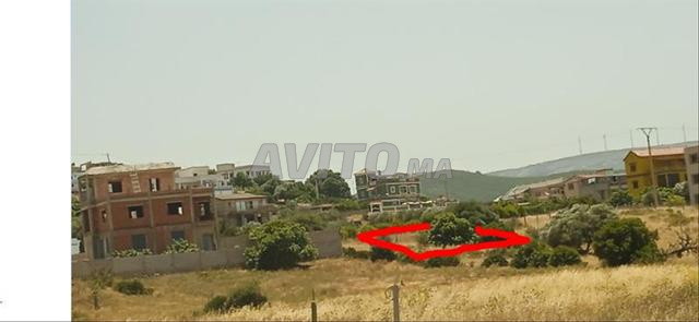 🔷 Terrain résidentiel à vendre à Oued Lian – Ksar Sghir 🔷