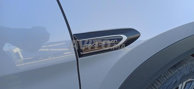 BYD Sealion 7 - 2