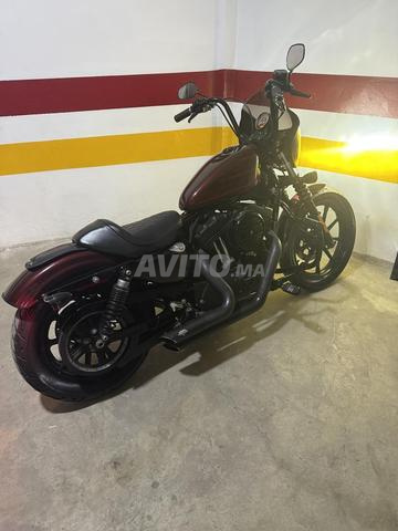 HARLEY DAVIDSON 1200