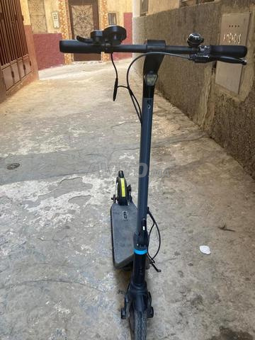 مسنانة قطع برانس قديمة - 2