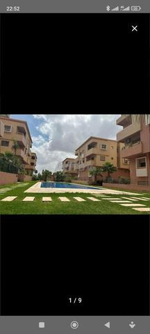 نخلة 🌴 في تارجا راقية - 2
