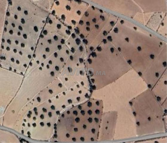 أرض مسجلة بمساحة 10000 متر مربع للبيع - 2