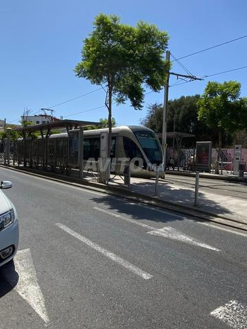 Appartement à louer en face du tram