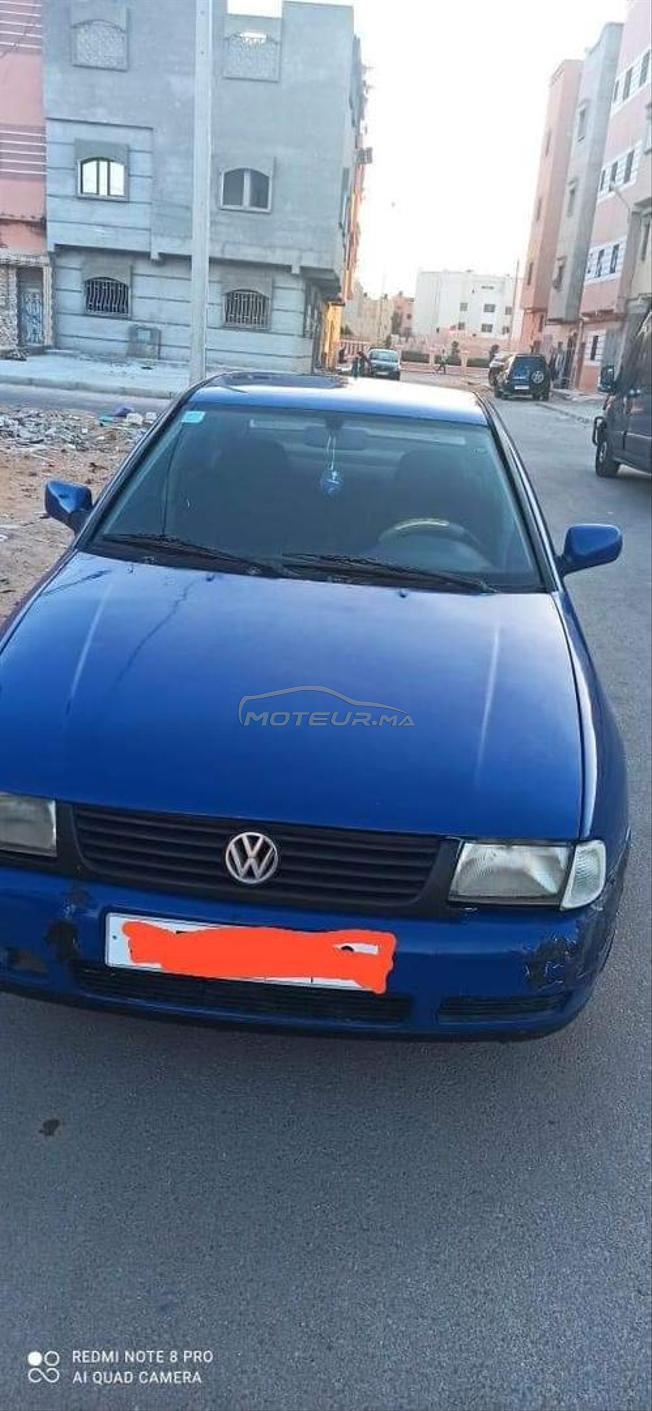 بولو كلاسيك