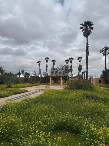 أرض مع فيلا للبيع - 2