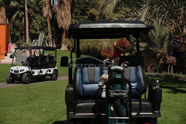 Golfette - Golf Cart  - Ranger 6 places 