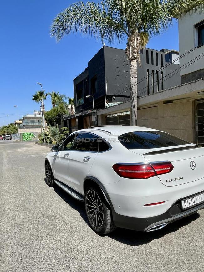 Glc coupe 1 ère main 