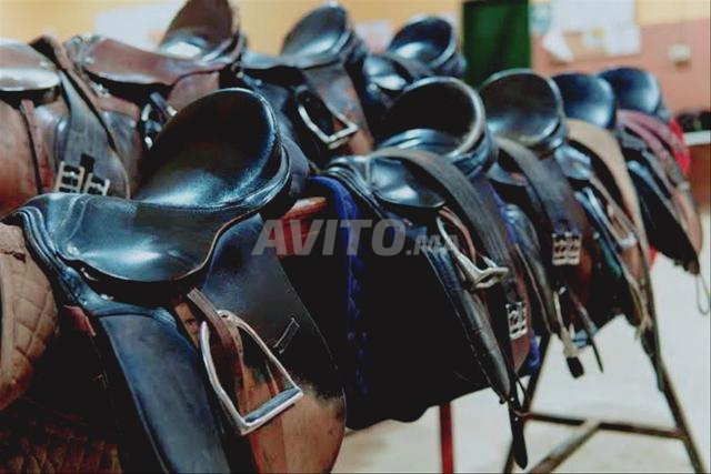 معدات واكسسوارات الخيل