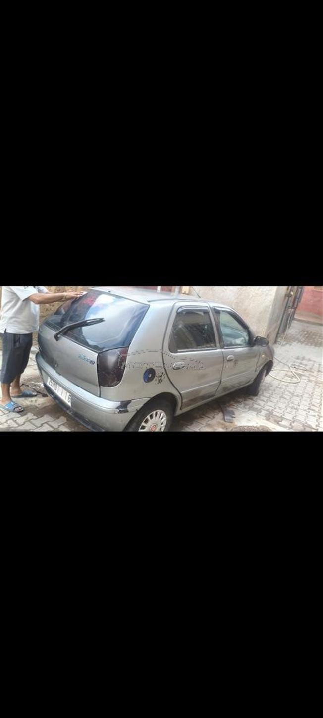 فيات باليو 