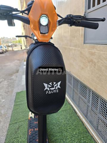 Trottinette 🛴 g2 Ecoxtrem livraison gratuite - 2