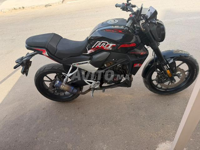 Cimatti mt 05 - 2