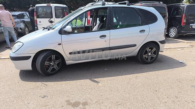 رينو سينيك
