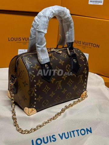 Sac Chic Louis Vuitton Speedy LV6120 - 2